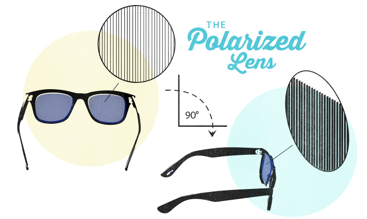 Tinted Vs Polarized Glasses Whats Better Zenni Optical 