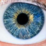 Keeping Your Eyes on Health: The Importance of Year-Round Eye Care
