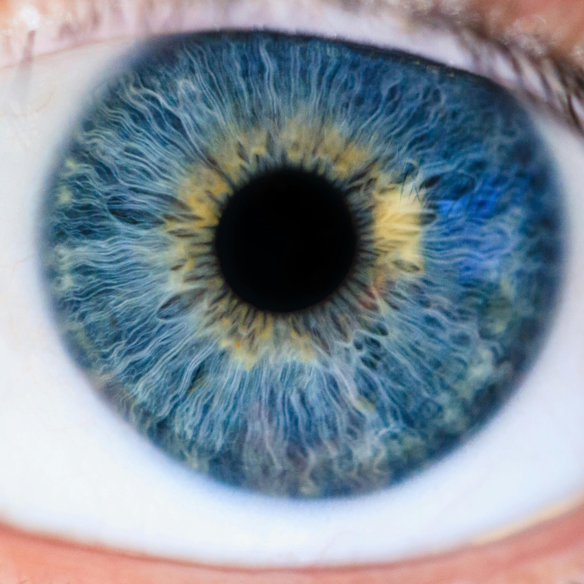 Close-up of a blue and yellow human iris with detailed patterns surrounding the pupil.