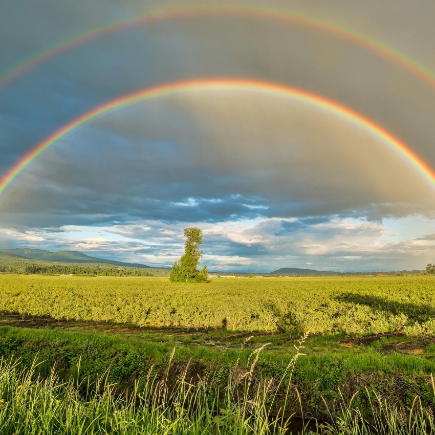 Celebrate National Find a Rainbow Day with Zenni's Colorful Rainbow Frames