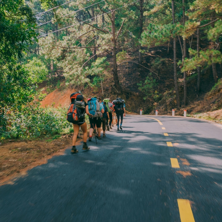 Group of hikers with backpacks walking along a winding road through a forested area.