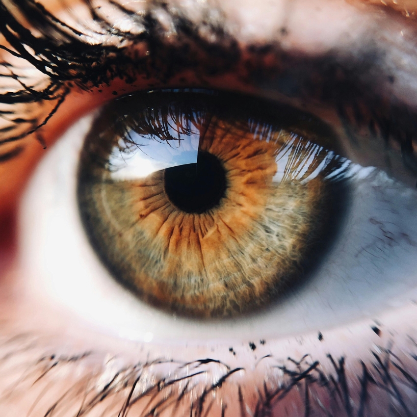 Exploring the Mystery of Hazel Eyes