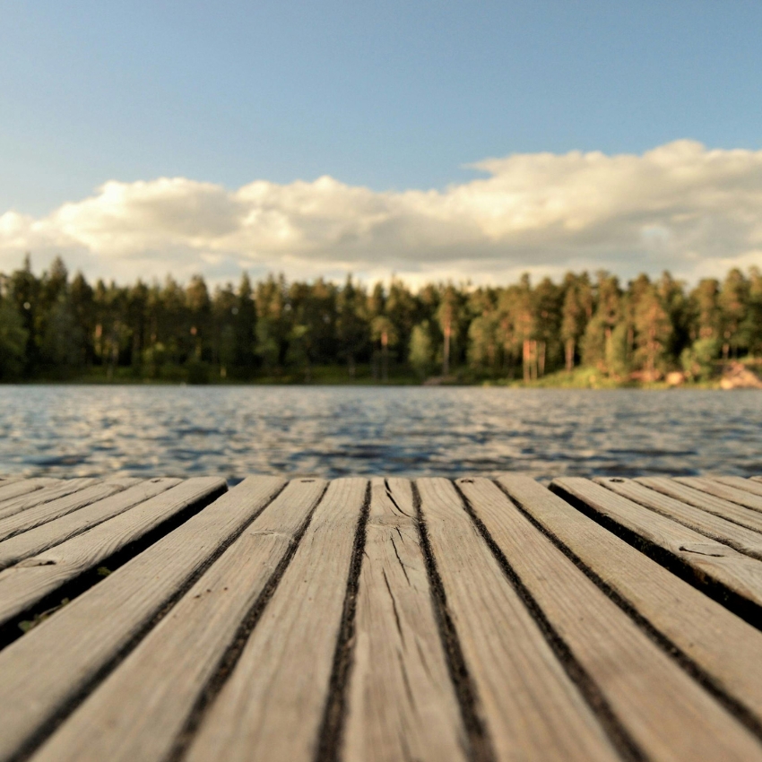 Wooden dock extending into a calm lake with a forested shore and clear sky in the background.