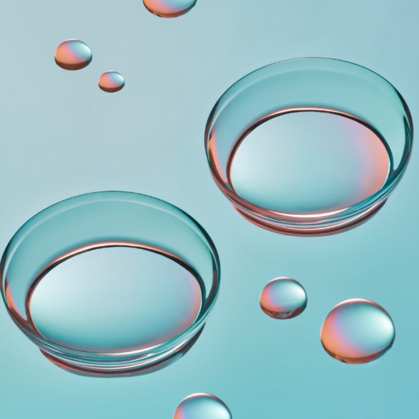 Two transparent glass petri dishes with a reflective surface on a light blue background.