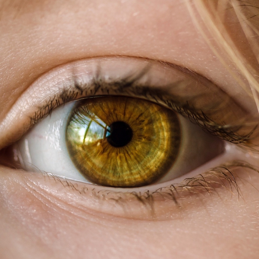 Close-up of a hazel-colored eye with visible eyelashes and light reflection in the pupil.