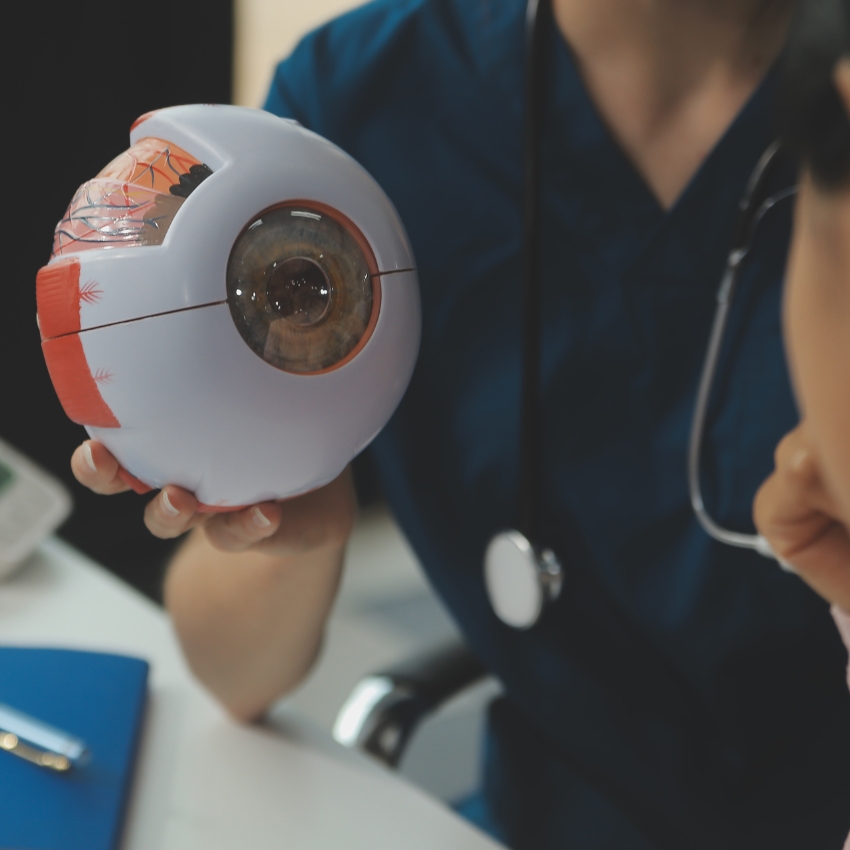 vecteezy_ophthalmologist-doctor-in-clinic-part-of-eye-model-on-desk_44785967_Featured Image