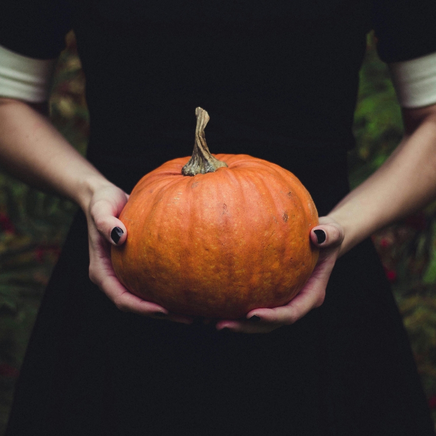 Two hands holding an orange pumpkin.